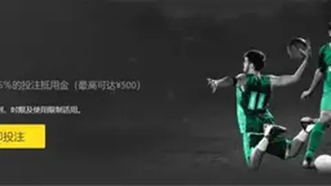 尼潘成阿森纳等队目标，球队详述未来蓝图